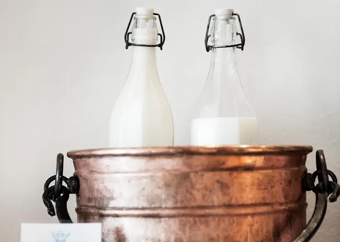 Weitzer - Centre Of Graz