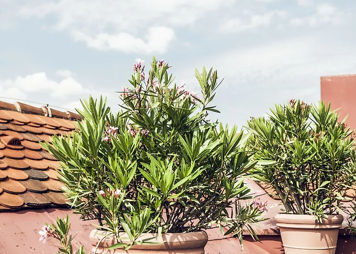 Weitzer - Centre Of 格拉茨