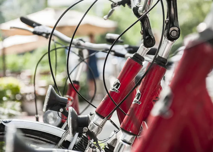 Weitzer - Centre Of 4*